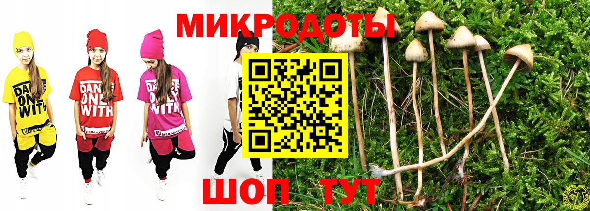 Галлюциногенные грибы MAGIC MUSHROOMS  где купить наркоту  Родники  Вход с VPN 