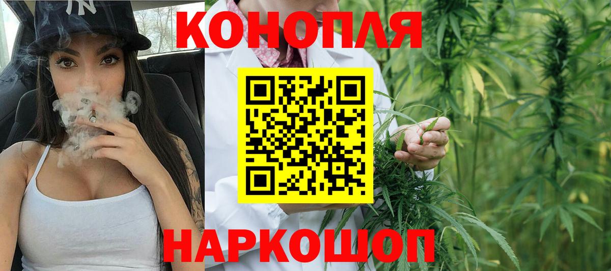 Конопля сатива Родники